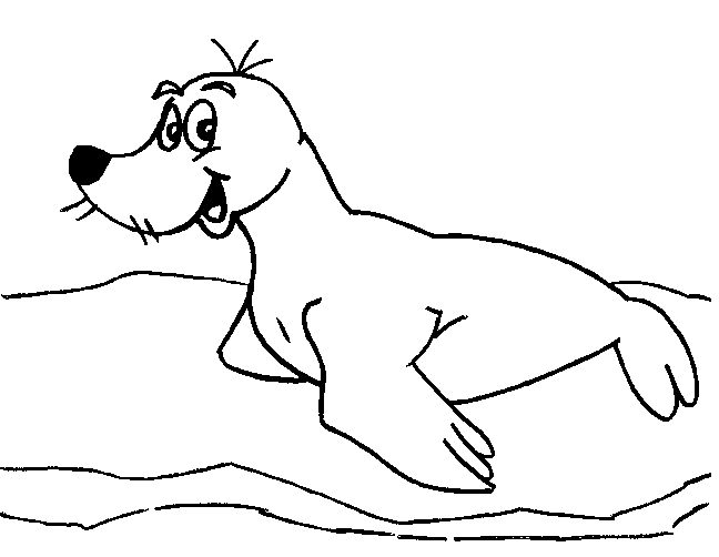 ocean seals coloring pages - photo #14