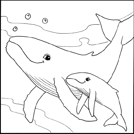 Marine Life Coloring Pages Coloring Factory