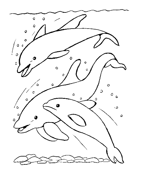 ocean life coloring pages for free - photo #26