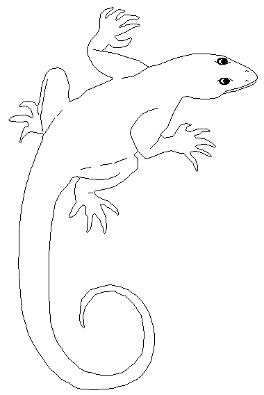 a to z reptile coloring pages - photo #27