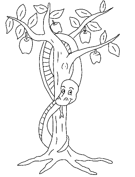 a to z reptile coloring pages - photo #22