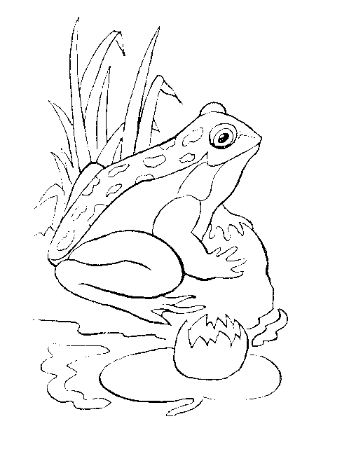 a to z reptile coloring pages - photo #6