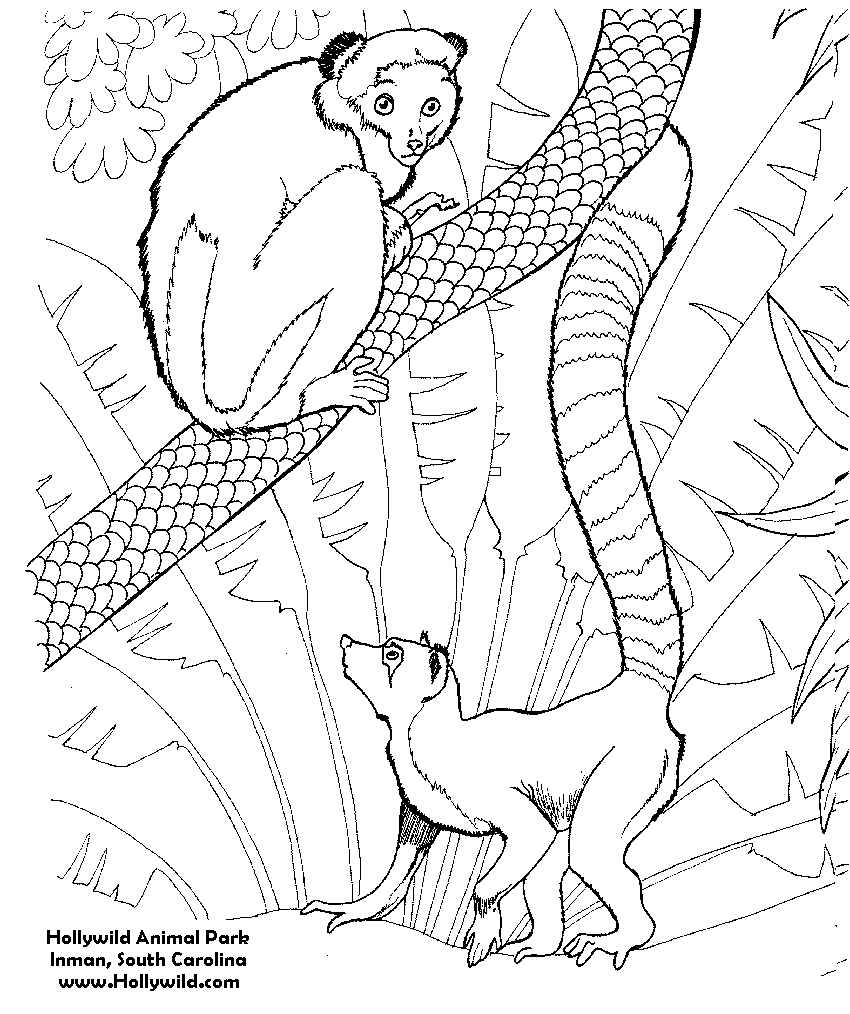 underwater scene coloring pages - photo #18