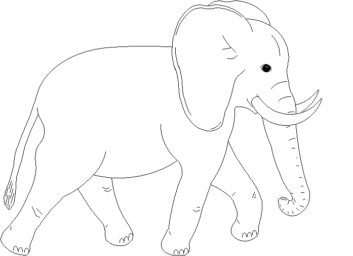 Wild Life Coloring Pages Coloring Factory